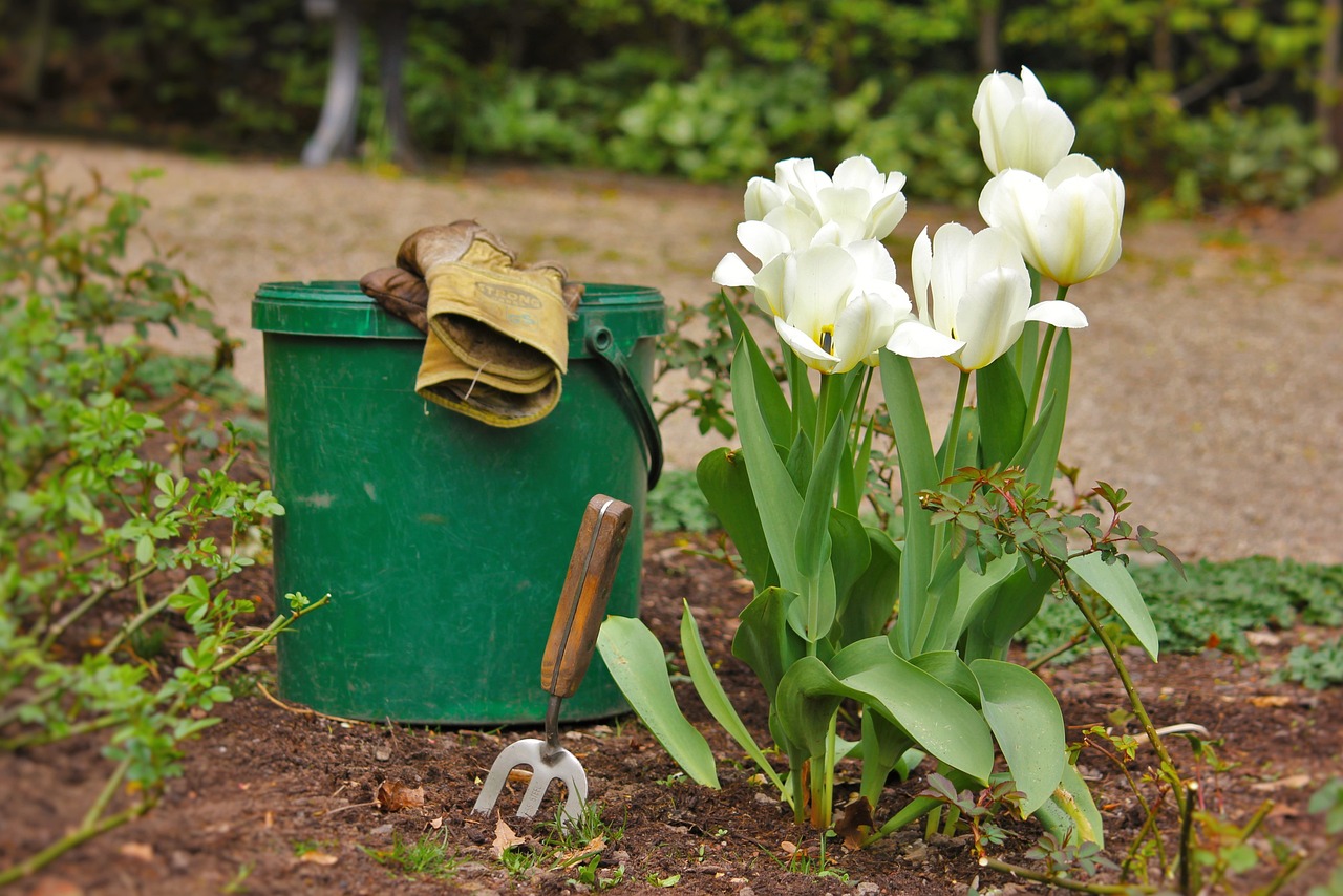 Scène de jardinage avec seau, gants, petite pelle et fleurs en train d'être plantées